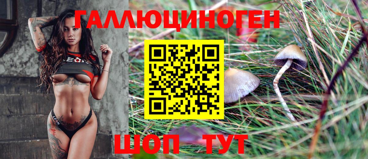Псилоцибиновые грибы Cubensis Феодосия