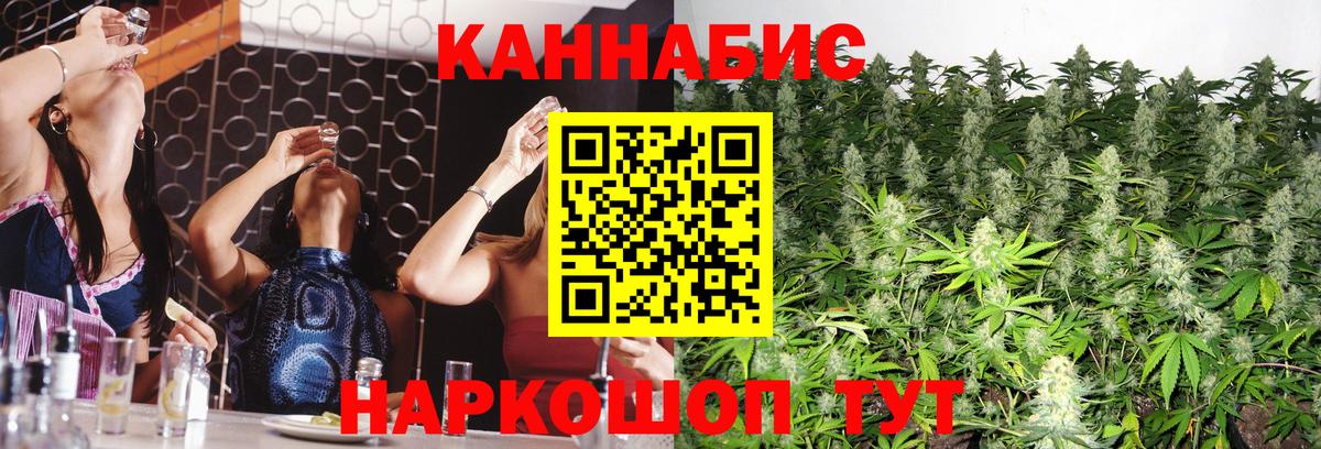 Каннабис план Феодосия